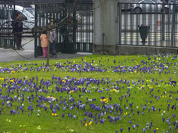 Jardin botanique de Geneve